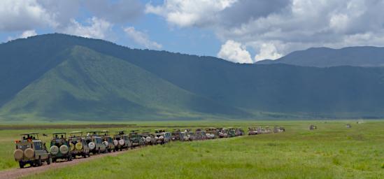 Ngorongoro Rhino Traffic Jam