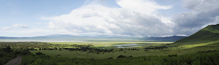 Ngorongoro