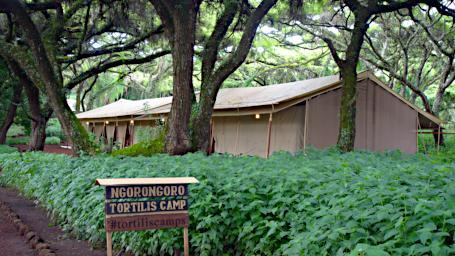 Ngorongoro Tortilis Camp