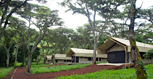 Ngorongoro Tortilis Camp
