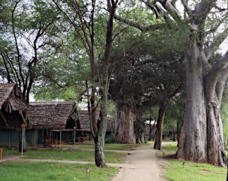 Tarangire Tarangire Safari Lodge P3020824