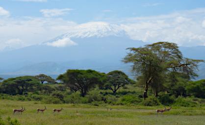 WKili Mt Kilimanjaro