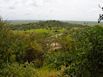 Walk Naabi Gate View