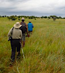 Walk Dona Douglas Toroiya