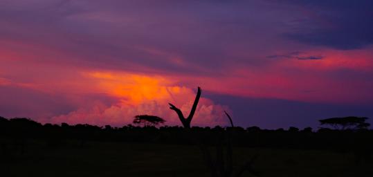 Walk Sunset